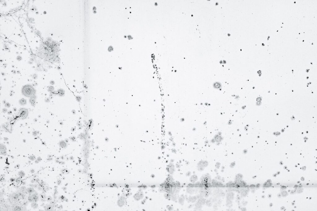 mold on wall corner